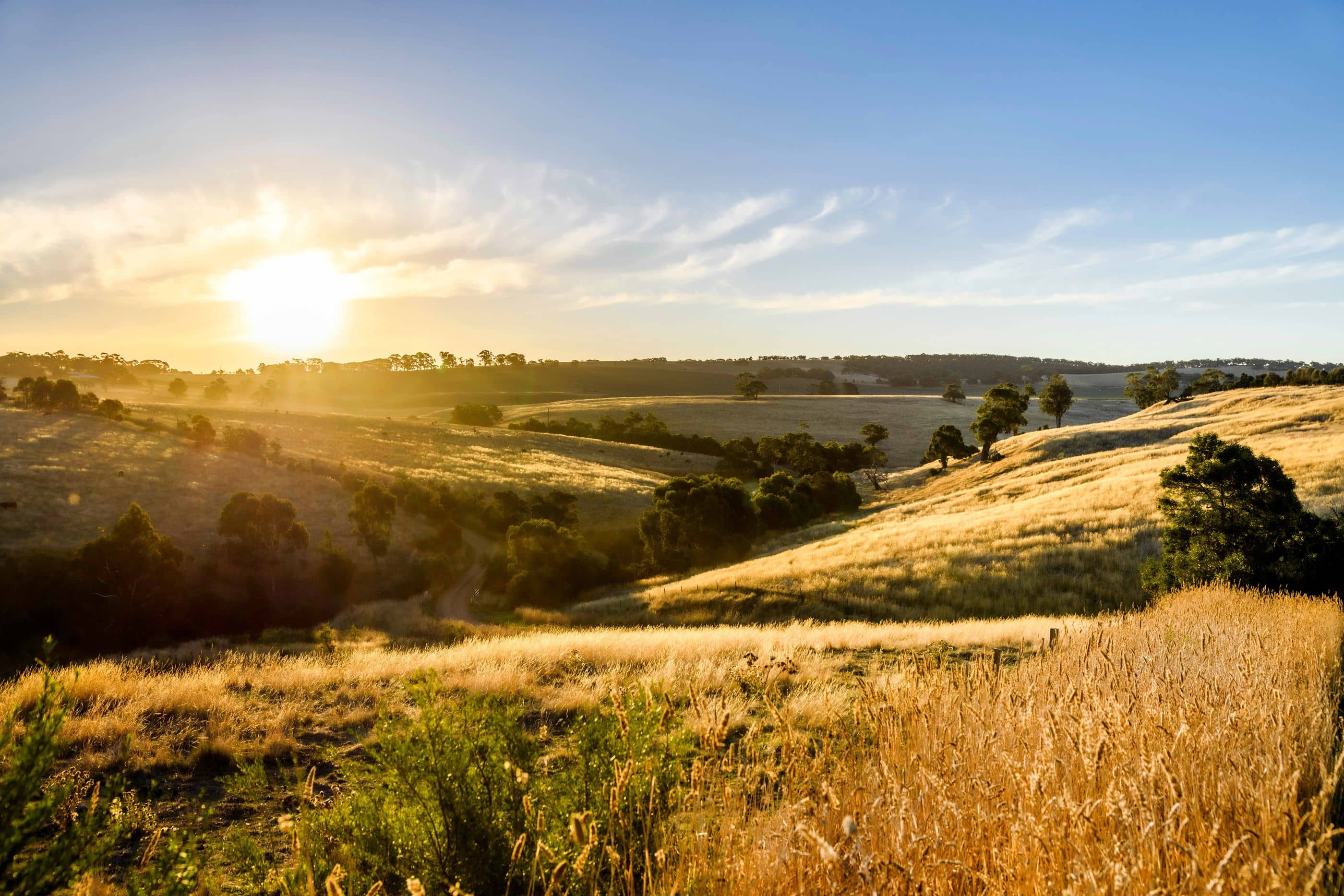Golden sunset light illuminates rolling hills with dry grasses and scattered trees, suggesting a peaceful rural setting.
