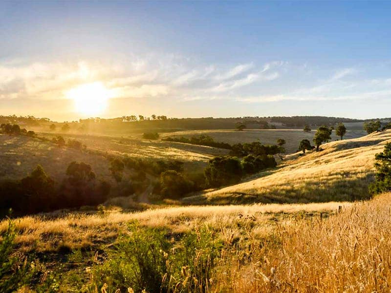 Sun setting over golden, dry grass hills with scattered trees under a blue sky, reflecting a peaceful environment.