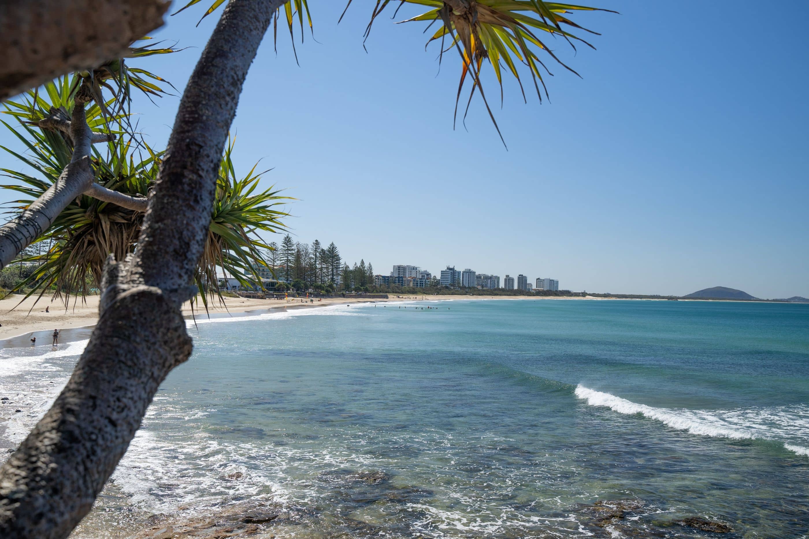 Sunny coastal beach view with clear blue ocean, people swimming, and buildings in the distance, framed by palm trees.