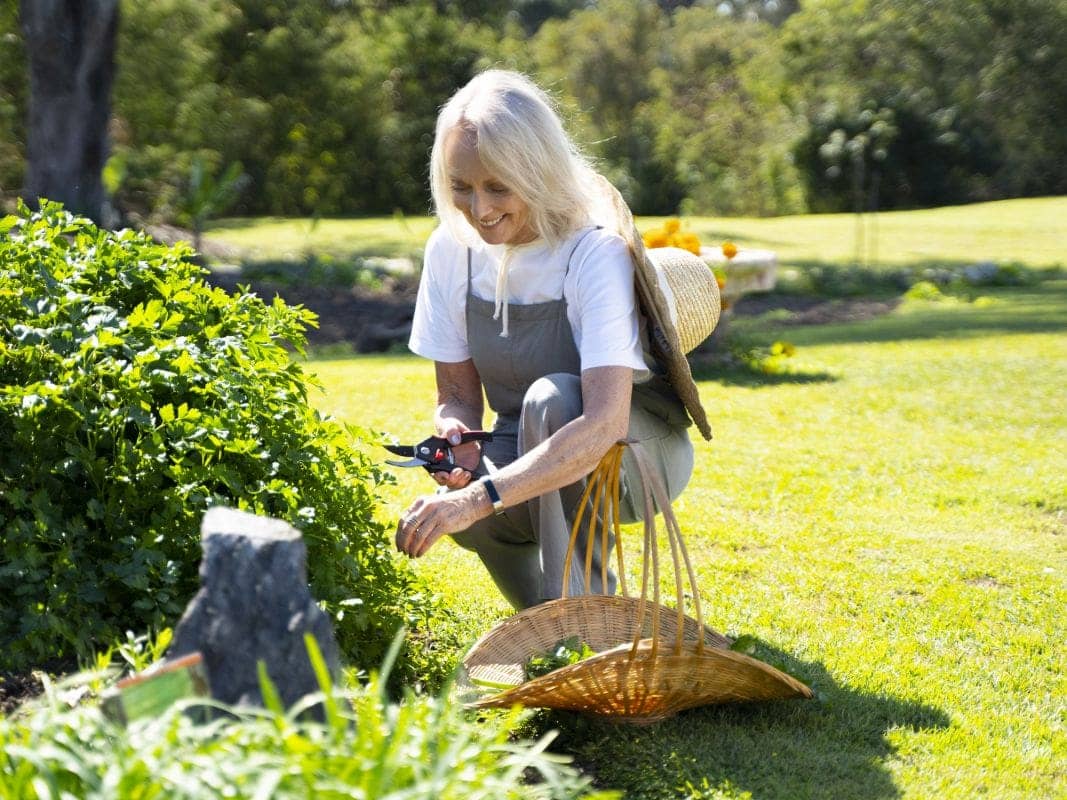 Woman with a straw hat pruning a bush in a garden, with a basket nearby.