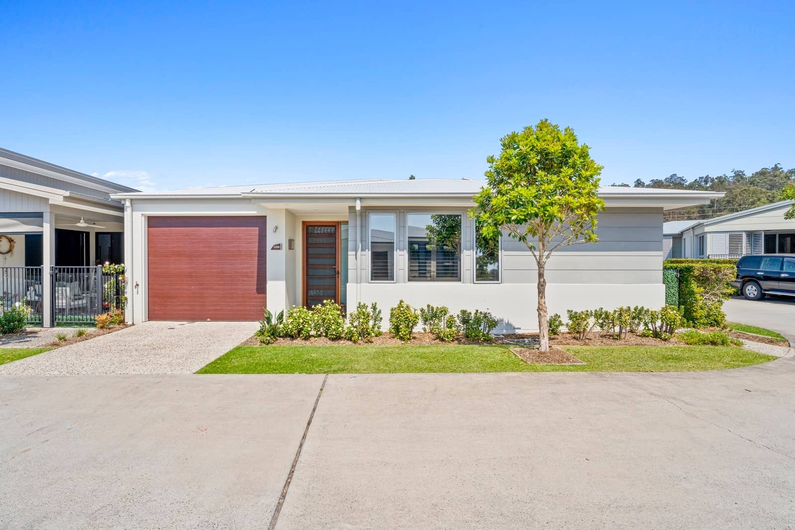 Front view of a modern Ingenia Lifestyle land lease home with a brown garage, landscaped garden, and tree.