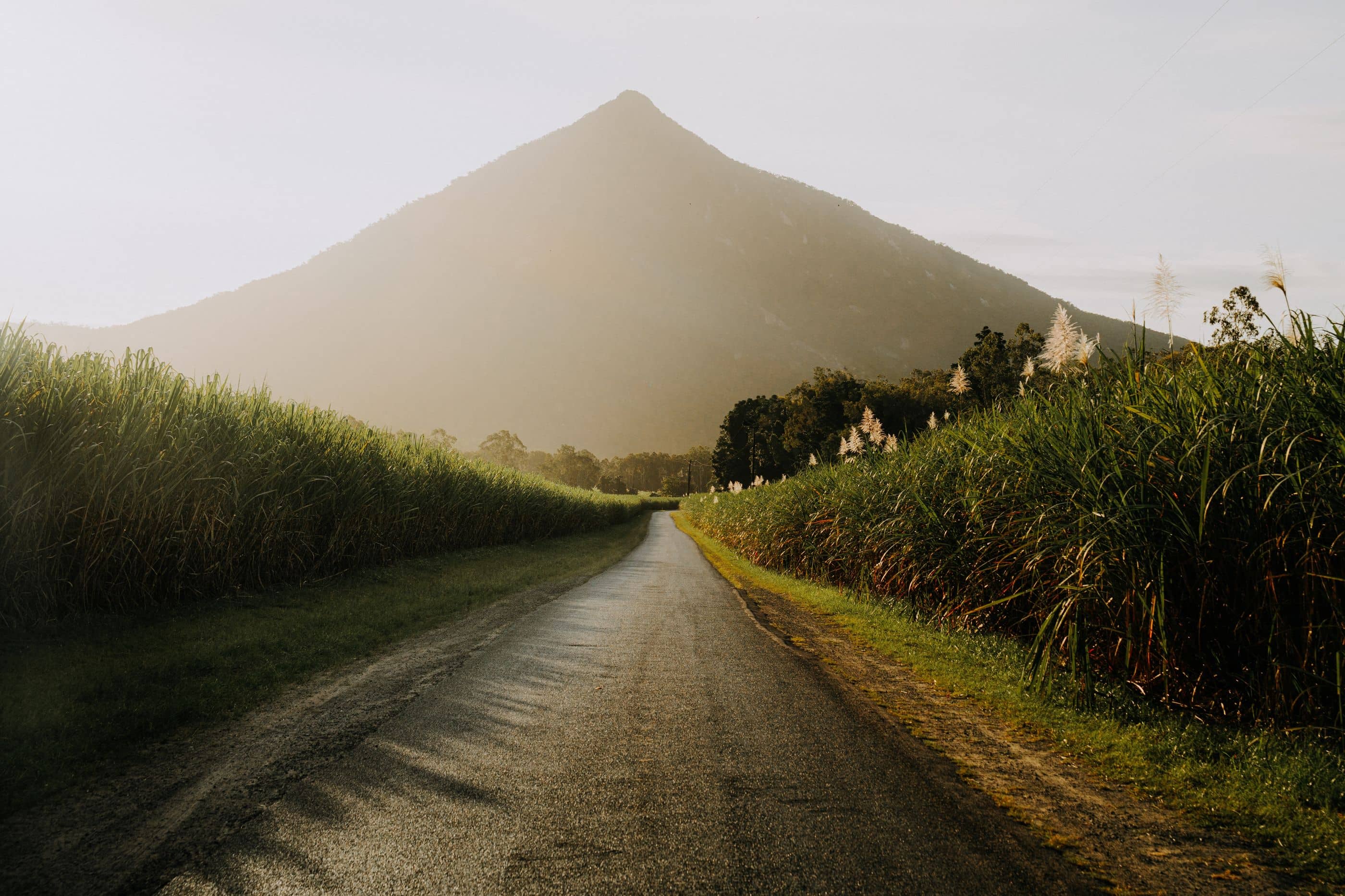 A scenic road through green crops towards a misty mountain, reflecting the natural beauty near Ingenia Lifestyle communities.