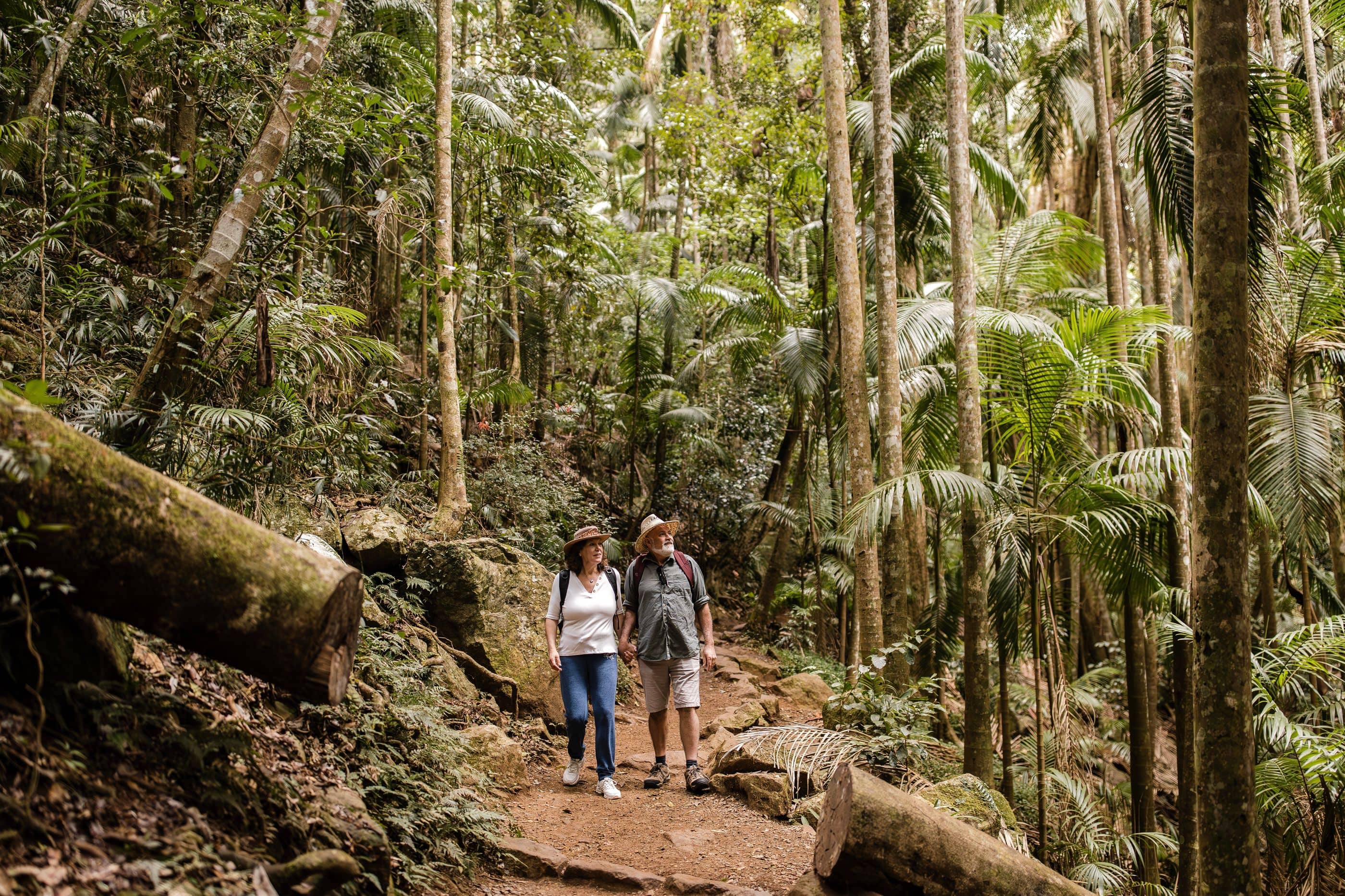 Two individuals in hats walking hand-in-hand on a dirt trail through a lush rainforest.