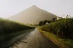 Gordonvale-205 (1)